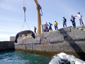 Metade being retrieved from Ribeira Brava harbour.