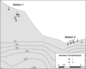 Figure 1. Seal sightings during the surveys (numbers above the marks represent the observation order).